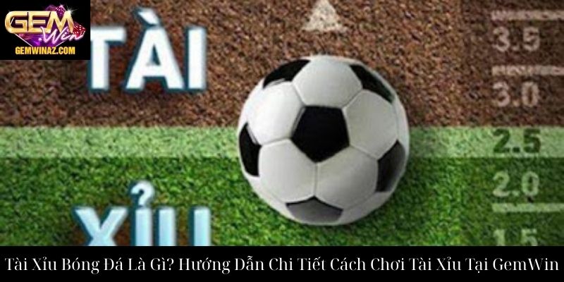 Tài Xỉu Bóng Đá Là Gì? Hướng Dẫn Chi Tiết Cách Chơi Tài Xỉu Tại GemWin